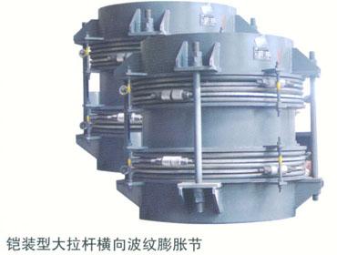 ��װ�ʹ����˺��������ͽ�