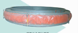 �ǽ������ͽ�